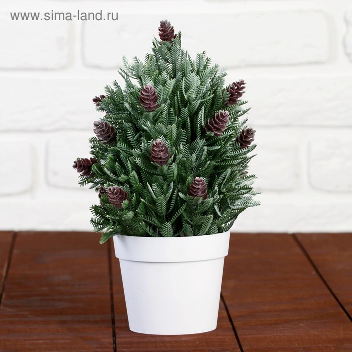 

Бонсай Хвойный куст 10х24 см, Зеленый;белый