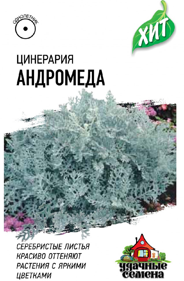 

Семена цинерария Андромеда Удачные семена 1071858313-20 20 уп.