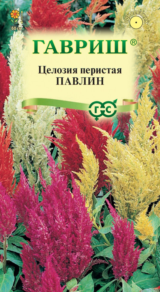 

Семена целозия Павлин Гавриш 1071858307-10 10 уп.