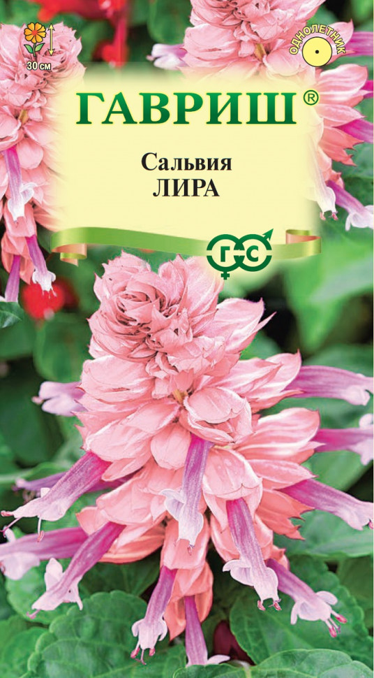 

Семена сальвия Лира Гавриш 1071858183-10 10 уп.