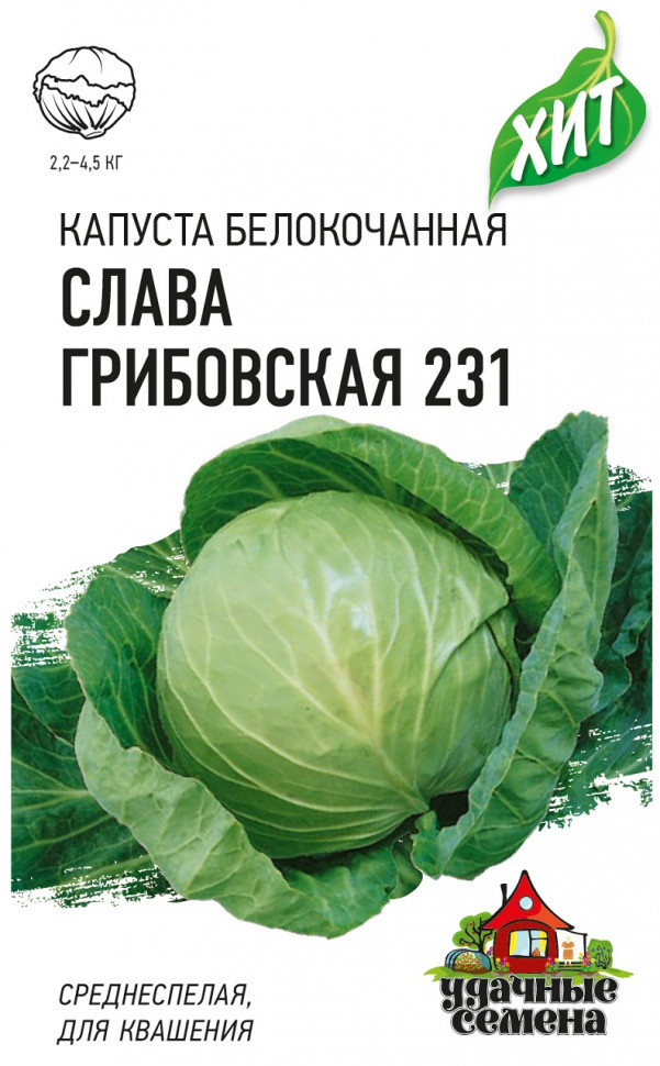 

Семена капуста белокочанная Слава Грибовская 231 Удачные семена 1071857721-20 20 уп.