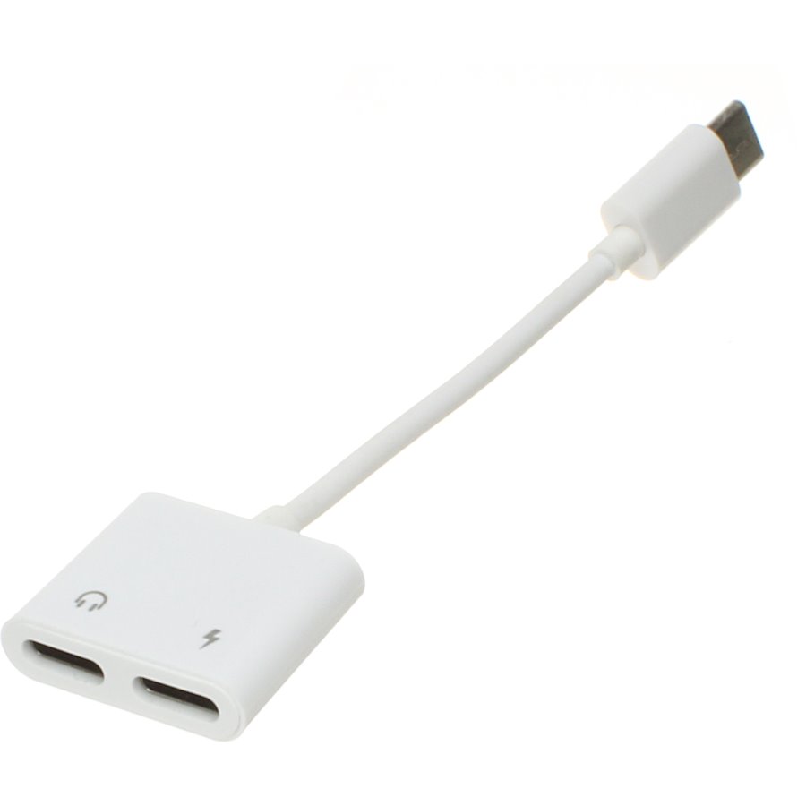 

Переходник USB 3.1 Type C - 2Type C(G) гибкий