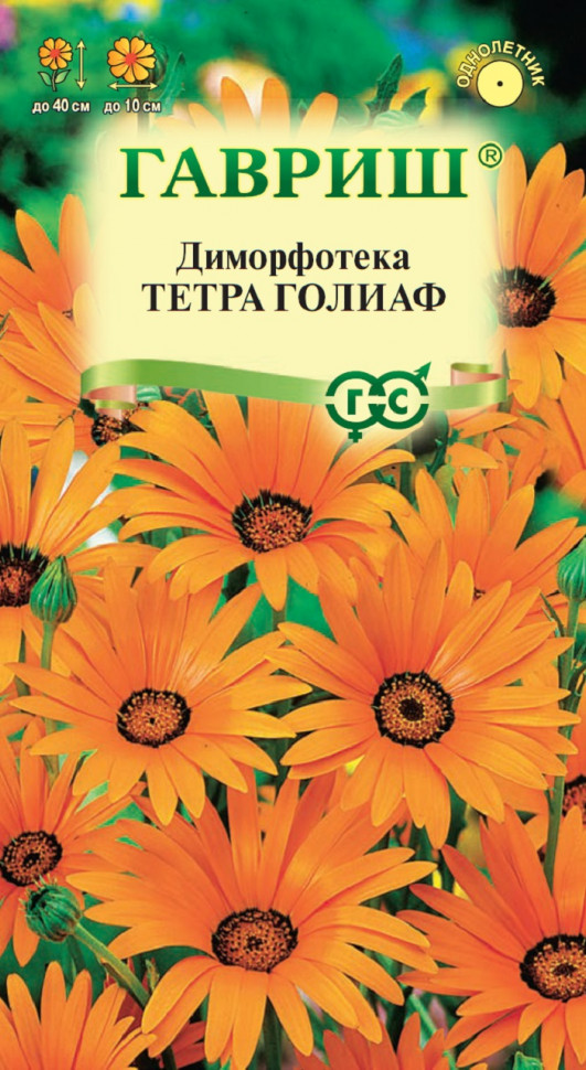 

Семена диморфотека Тетра Голиаф Гавриш 1071857670-10 10 уп.