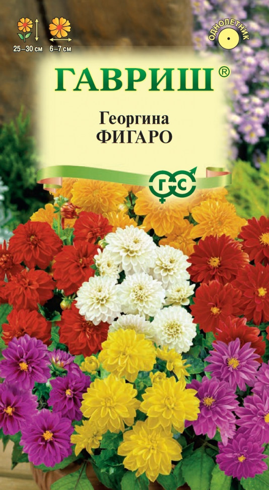 

Семена георгин Фигаро Гавриш 1071857500-10 10 уп.