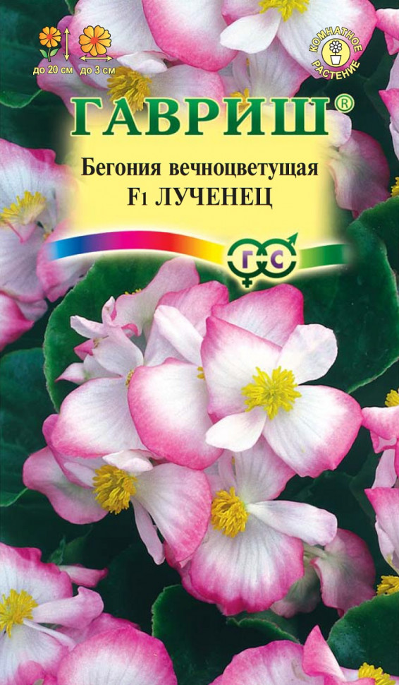 

Семена, Гавриш, Бегония вечноцветущая Лученец F1, 10 упаковок по 4 семени