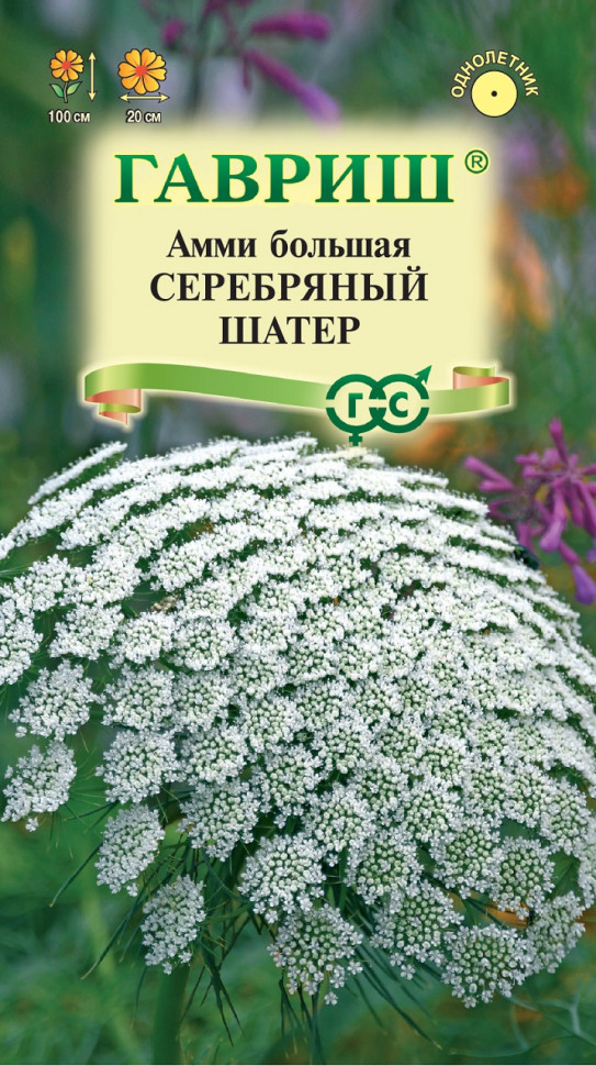 

Семена амми Серебряный шатер Гавриш 1071856836-10 10 уп.