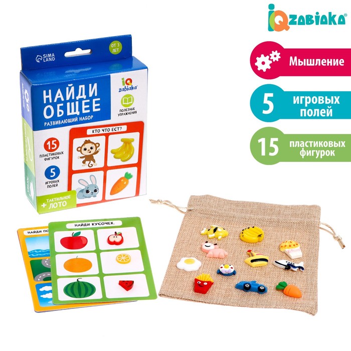 

Развивающий набор «Найди общее»