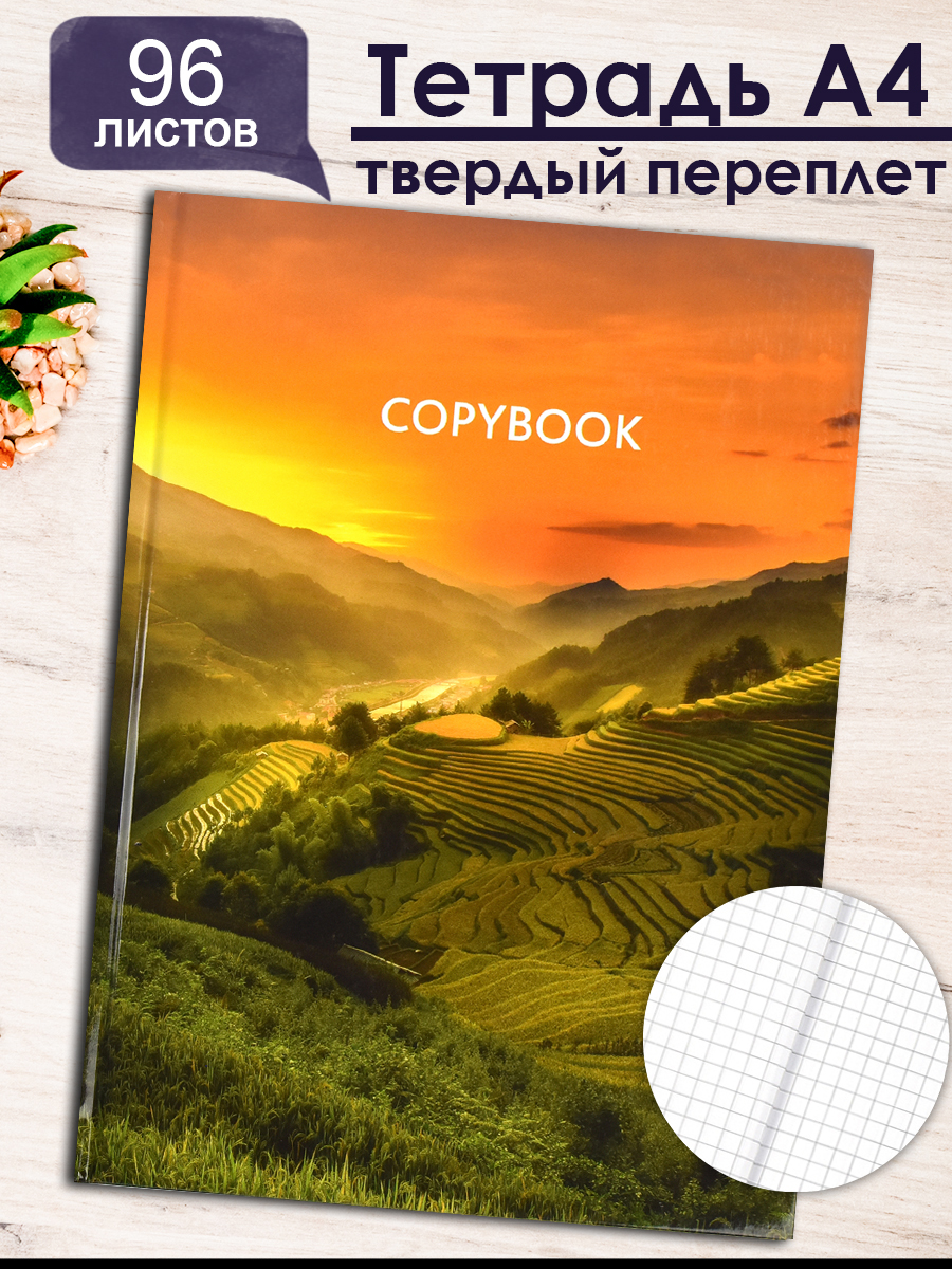 

Тетрадь в клетку Феникс+ 96 листов, 61693, рисовые поля, А4, твердый переплет, 96 листов