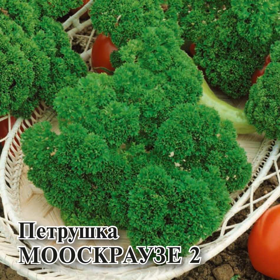 

Семена петрушка Мооскраузе 2 Гавриш 1026996794-5 5 уп.