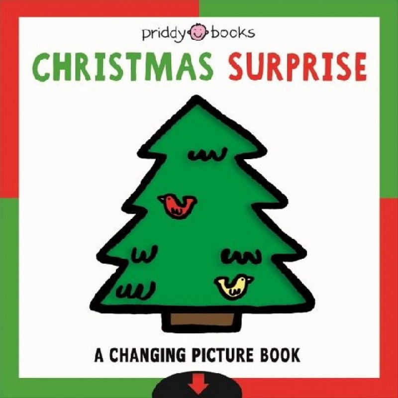 

Christmas Surprise