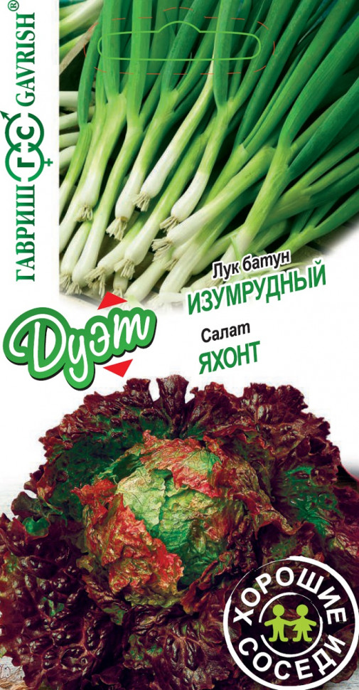 

Семена лук батун Изумрудный Яхонт Гавриш 1999948858-10 10 уп.
