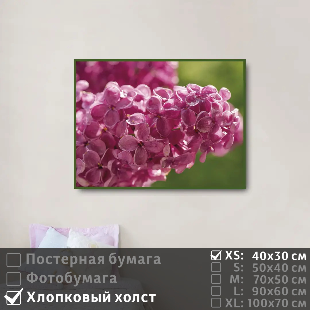 

Постер на холсте ПолиЦентр Ветка сирени с каплями 40х30 см, ВеткаСирениСКаплями