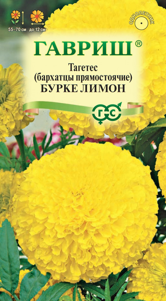 

Семена бархатцы Бурке Лимон Гавриш 191222997-10 10 уп.