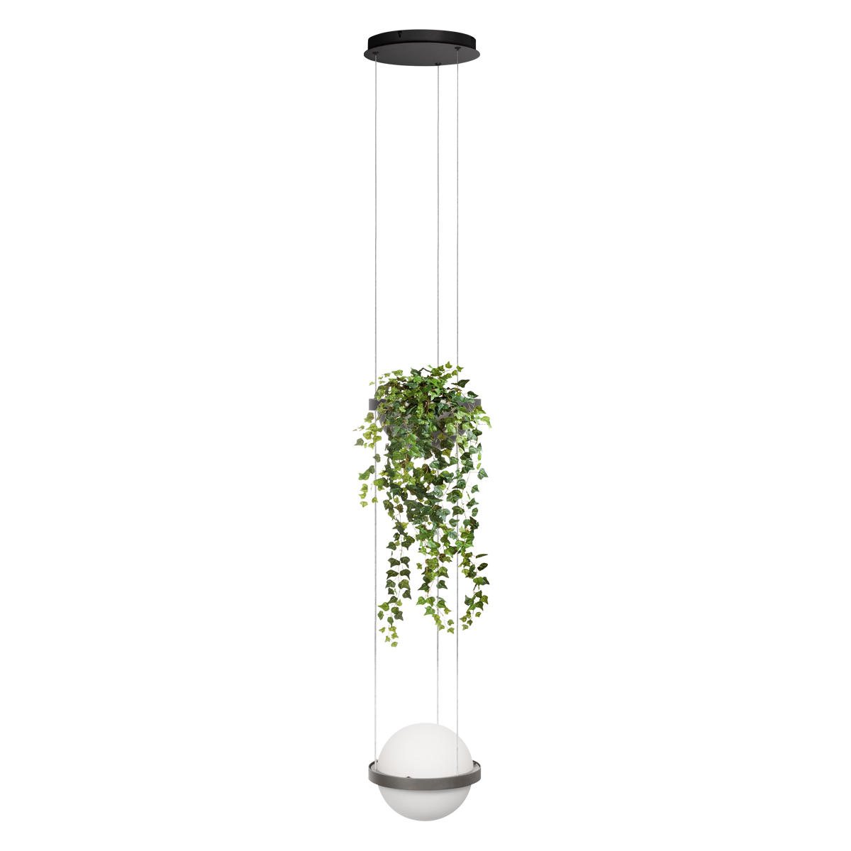 

Подвесной светильник Loft IT Jardin 10121/1P Dark grey, Jardin