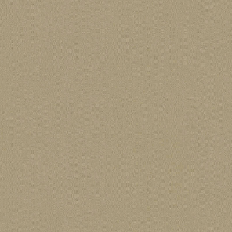 

Architects Paper Floral Impression 37748-5