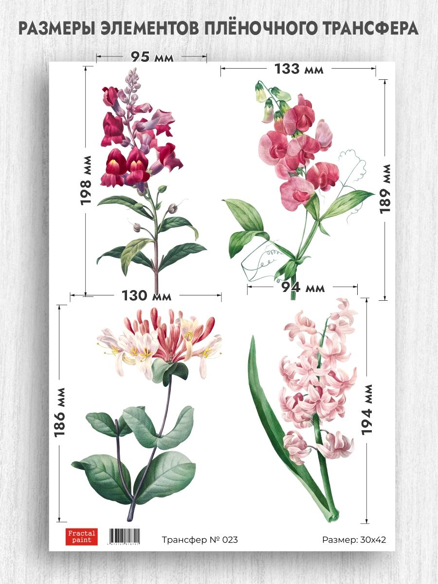

Трансфер для декупажа переводной рисунок 023 А3, Разноцветный, Бумага для рукоделия