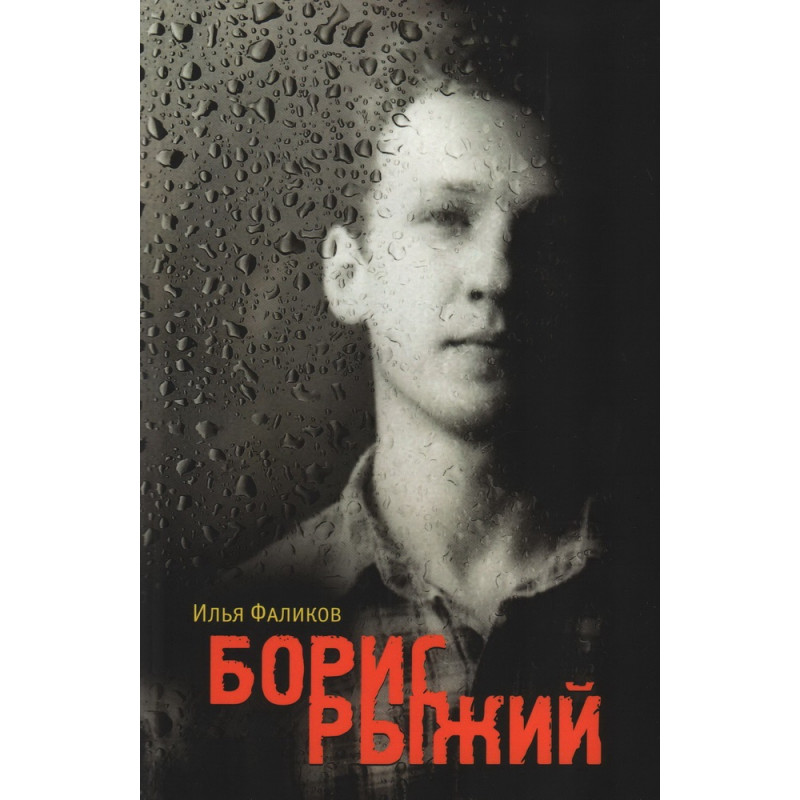 

Борис Рыжий. Дивий камень. Фаликов И.З.