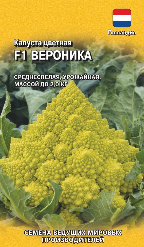 

Семена капуста цветная Вероника F1 Гавриш 1070007990-5 5 уп.