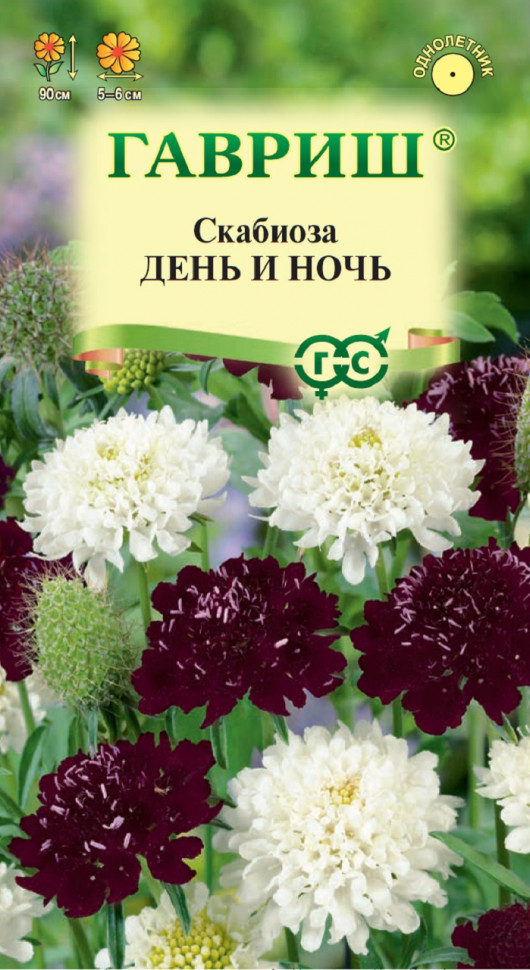 

Семена скабиоза День и ночь Гавриш 1026995015-10 10 уп.