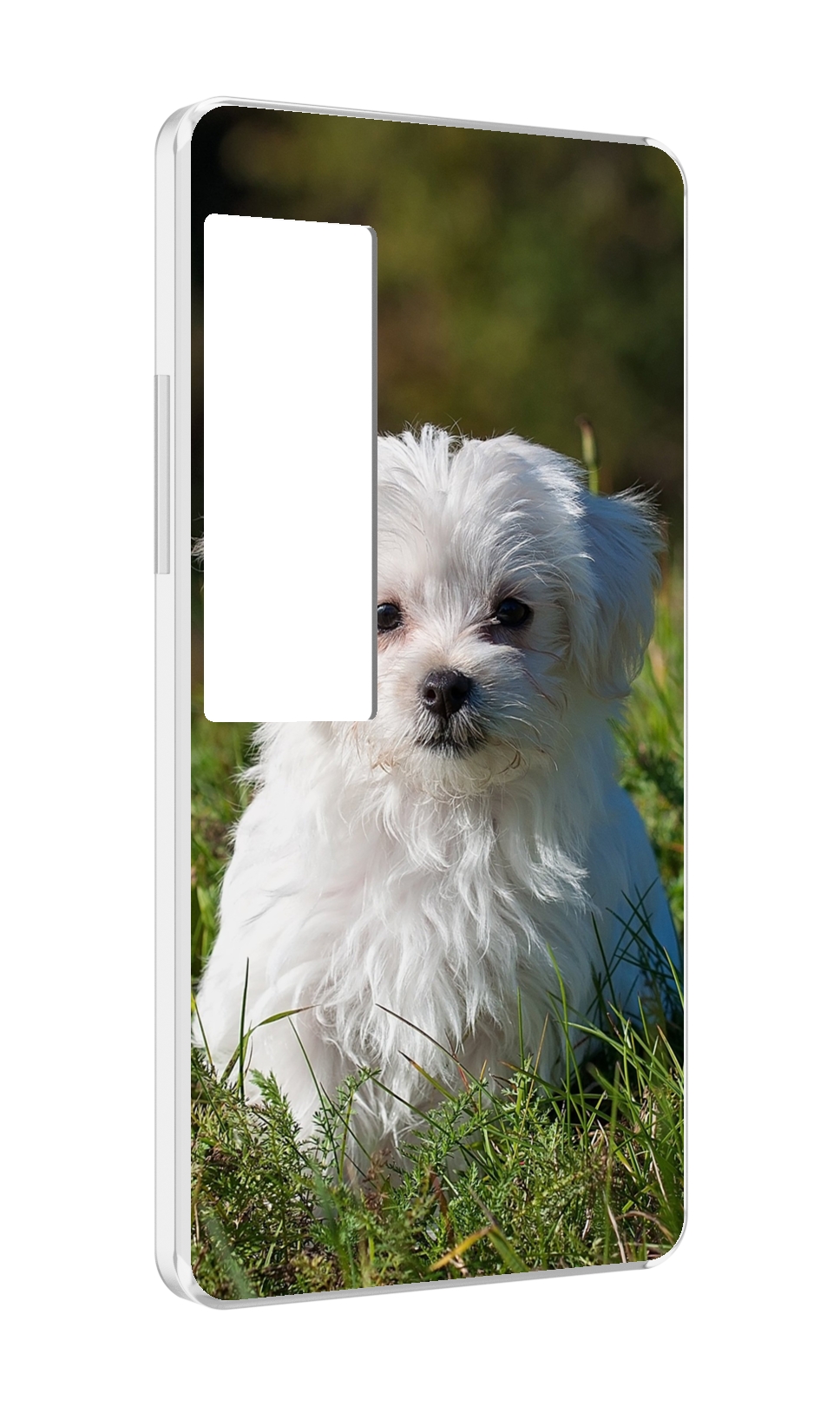 

Чехол MyPads мальтииская-болонка для Meizu Pro 7 Plus, Прозрачный, Tocco