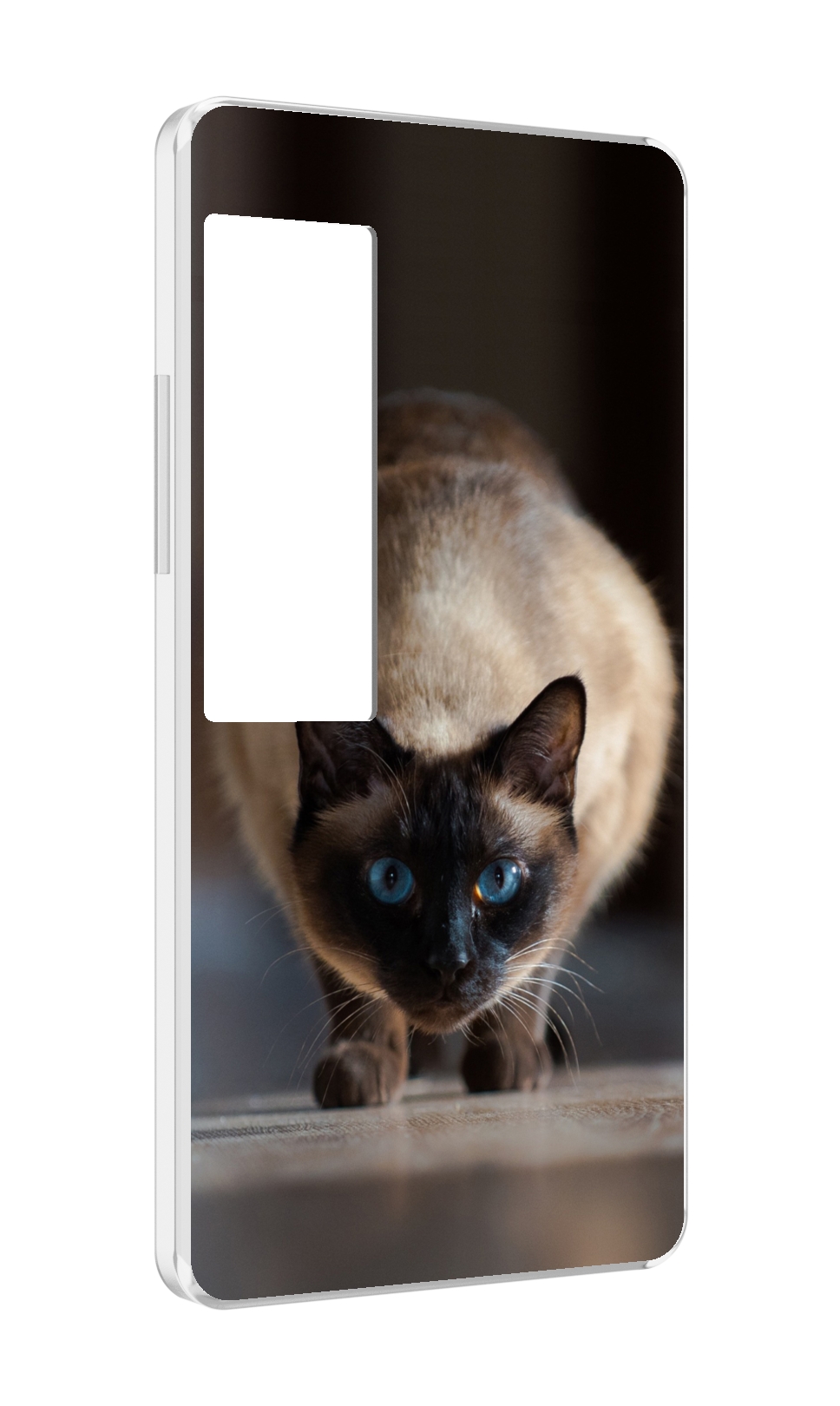 Чехол MyPads кошка сиамская для Meizu Pro 7 Plus