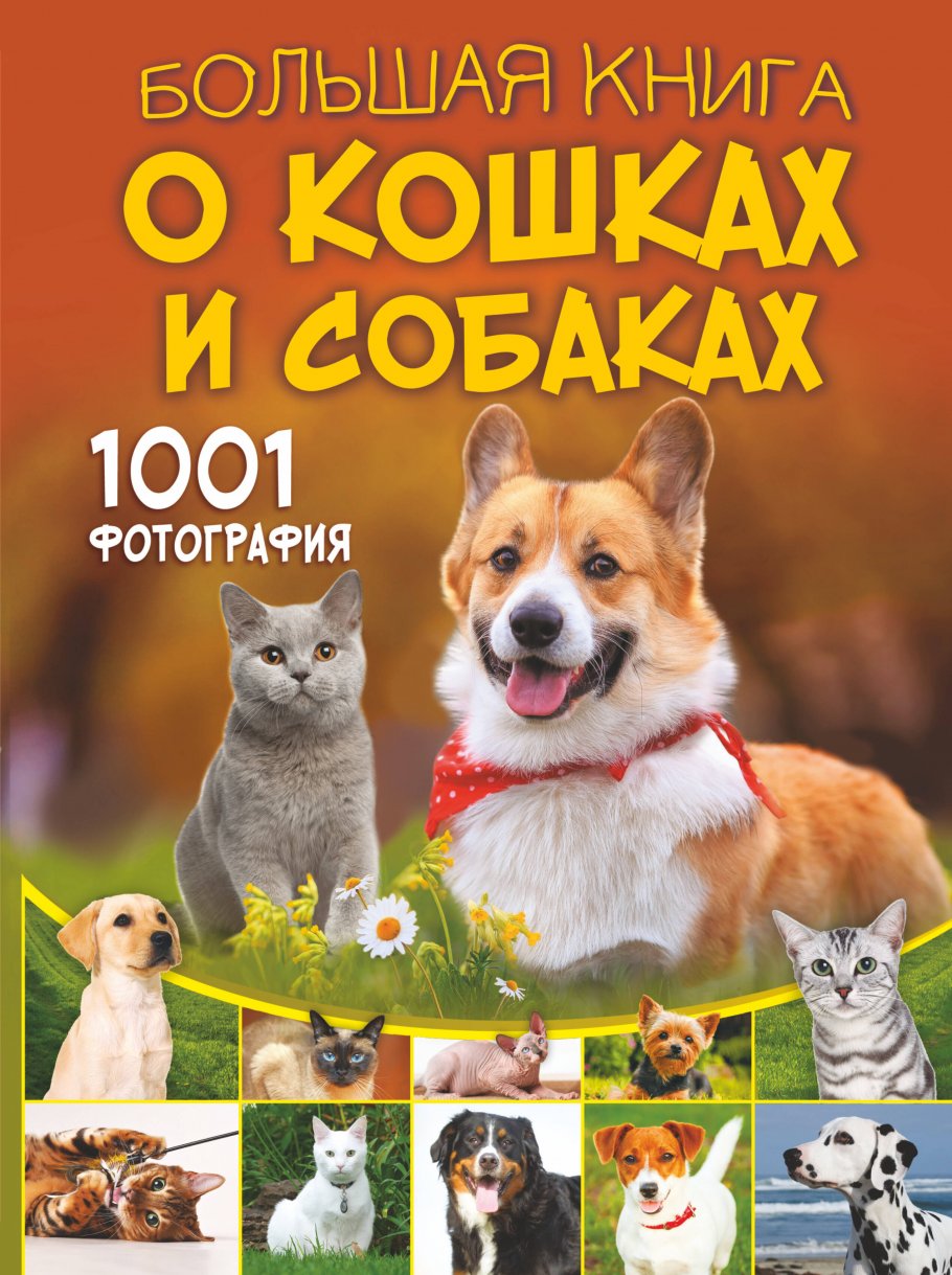 

Большая книга о кошках и собаках. 1001 фотография