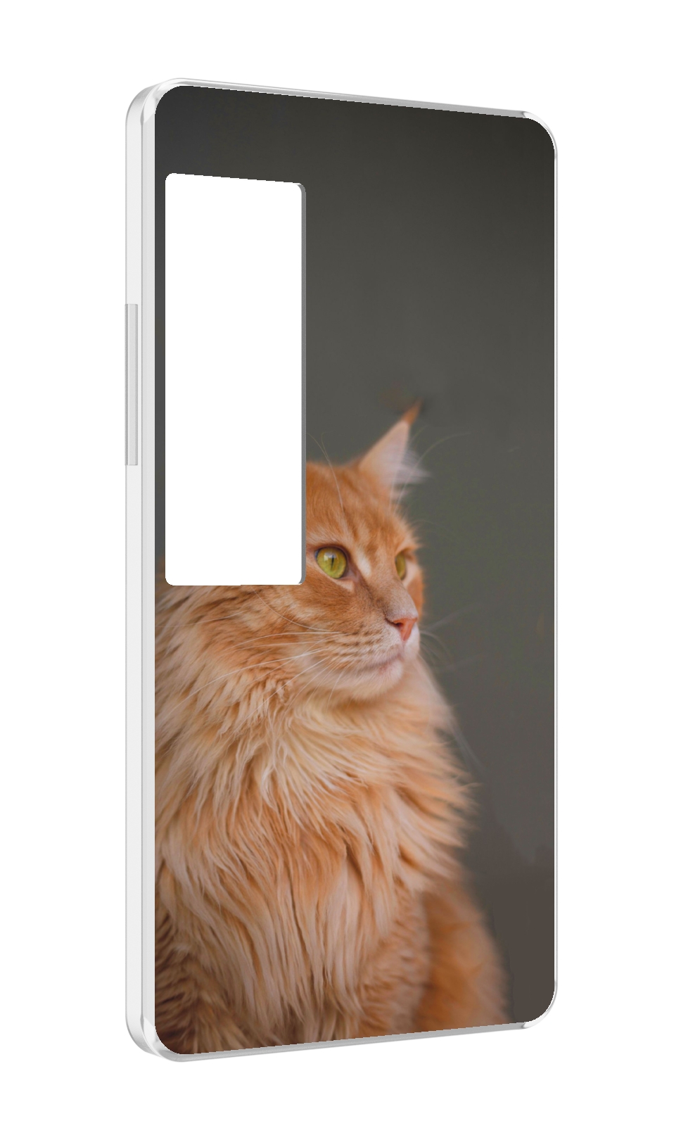 

Чехол MyPads кошка меин кун 1 для Meizu Pro 7 Plus, Прозрачный, Tocco