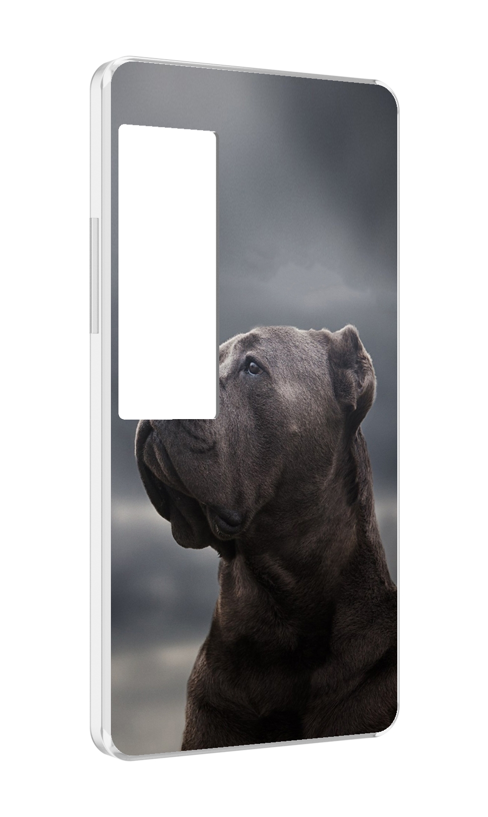 

Чехол MyPads кане корсо для Meizu Pro 7 Plus, Прозрачный, Tocco