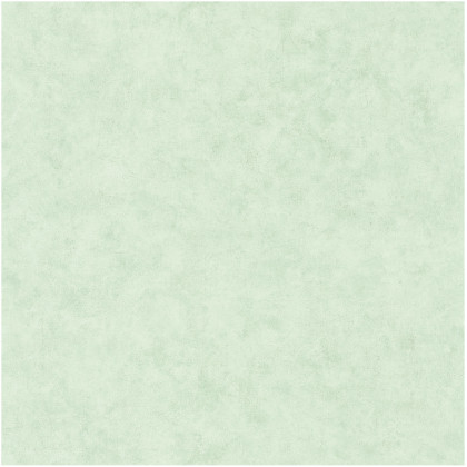 

Caselio Обои Caselio Beton 101487400, Обои Caselio Beton 101487400