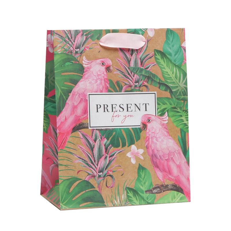 

Пакет крафтовый вертикальный Accessories Present For You 18*23*8см 1 шт, Разноцветный