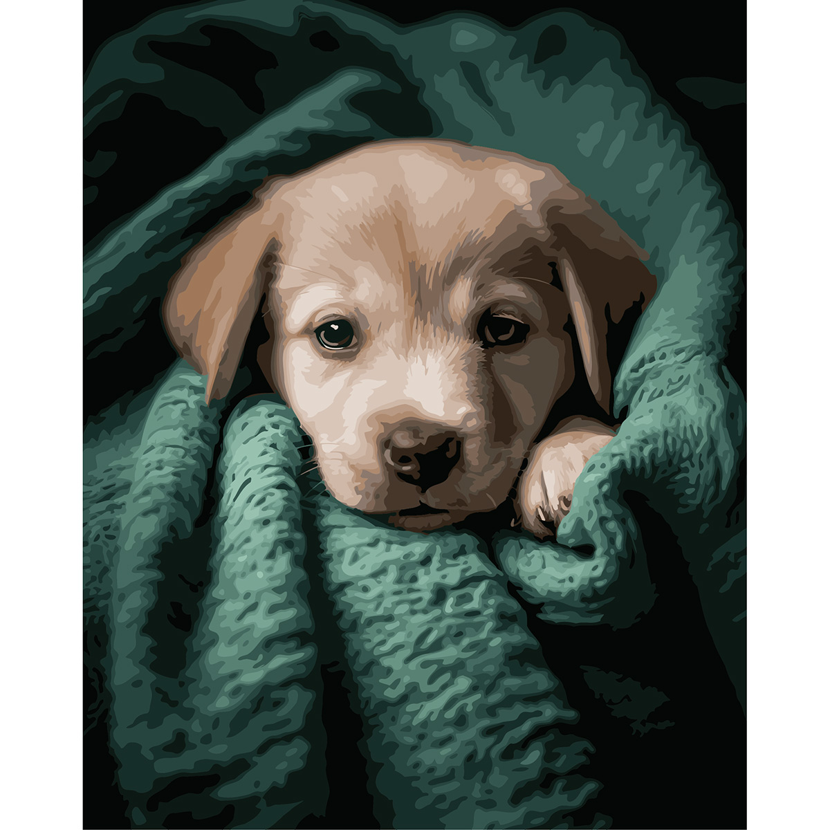 Картина по номерам Cristyle, S082, Милый щенок в пледе, 40х50 см