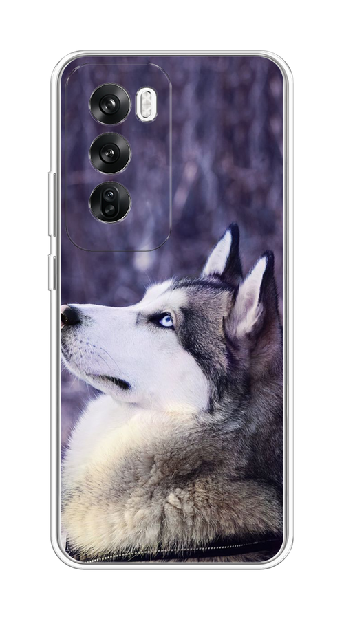 

Чехол на Oppo Reno 12 "Хаски 1", Фиолетовый;белый, 2517450-1