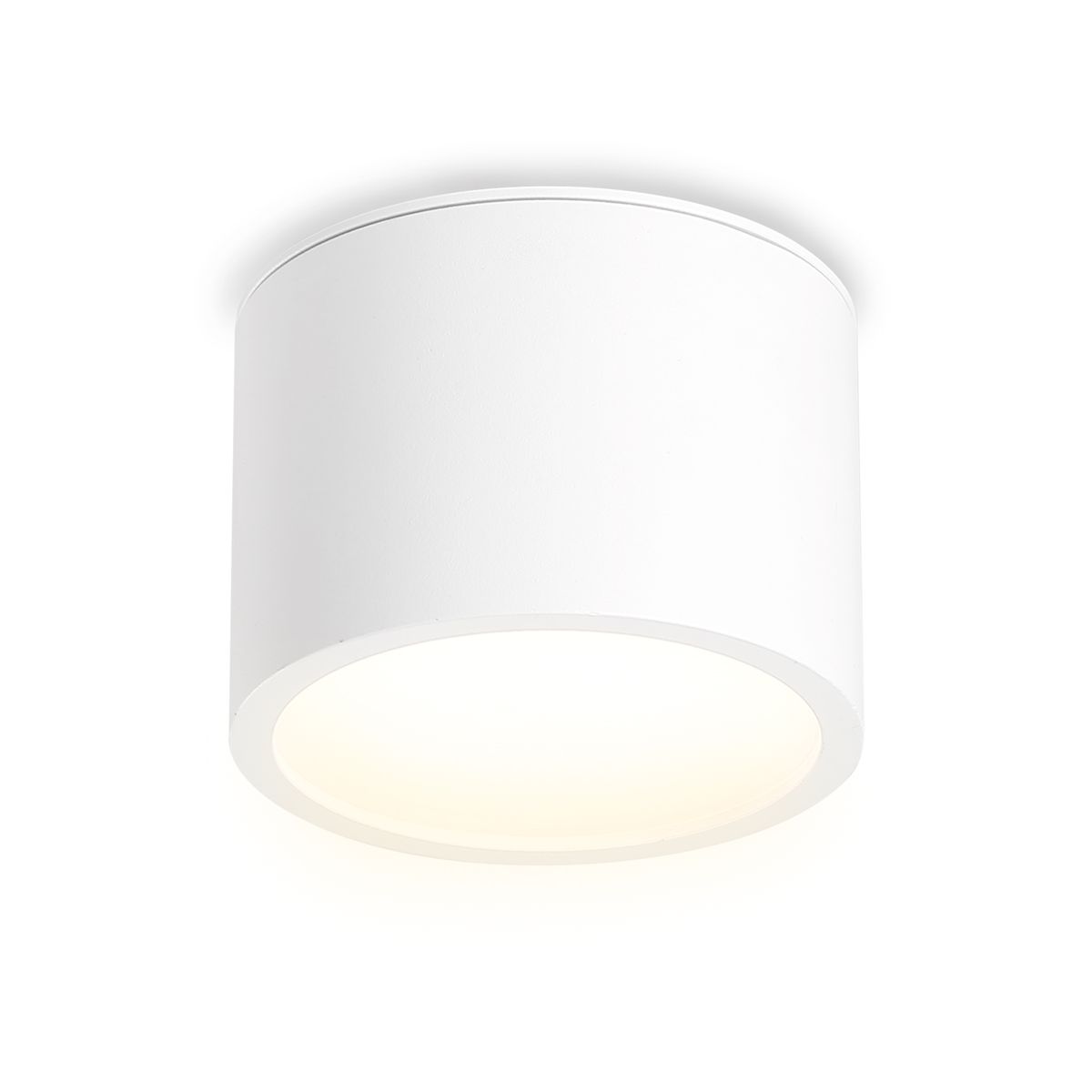 

Настенный светильник Ambrella Light TN6550, TN6550 Techno Spot IP Protect