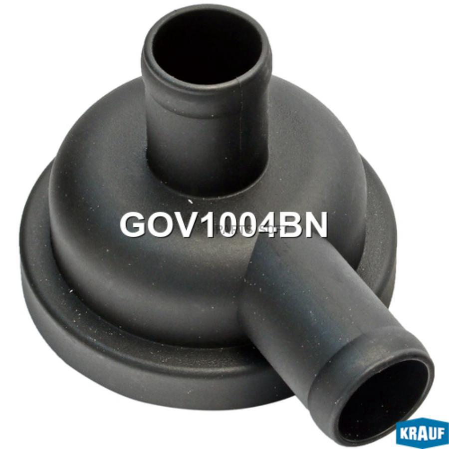 

GOV1004BN клапан редукционный Audi A4/A6/RS6/TT, VW Passat <05