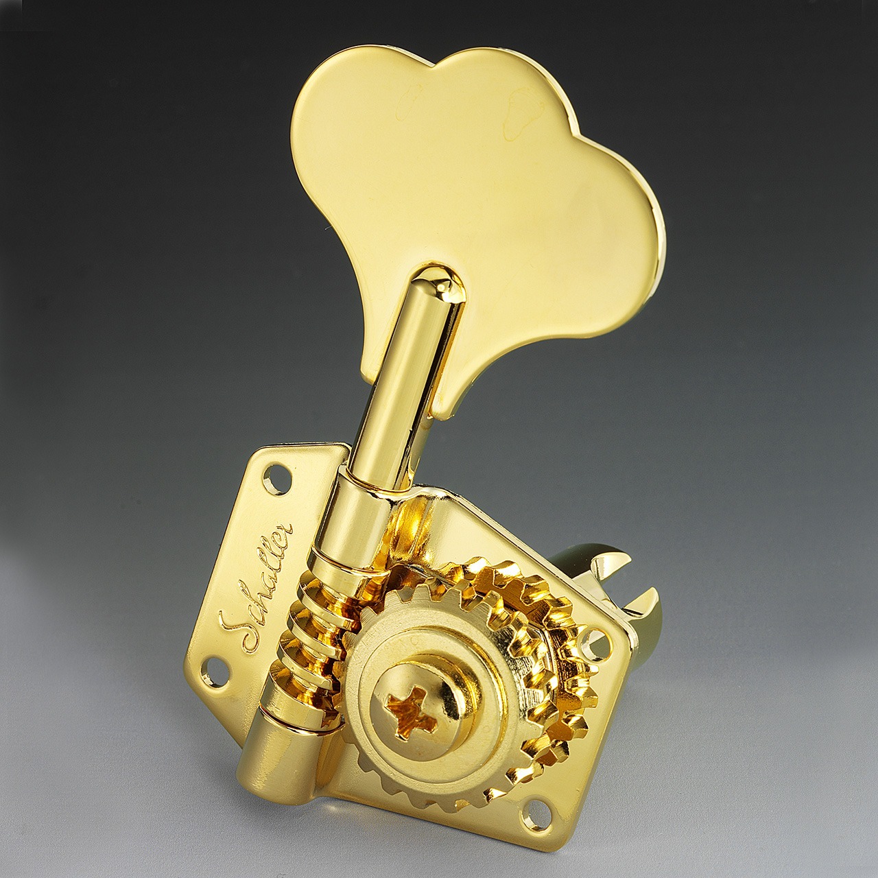 

Комплект одиночной колковой механики SCHALLER 10250501.26.71, Золотистый, 10250501.26.71