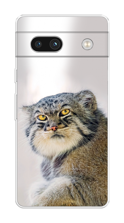 

Чехол на Google Pixel 7A "Кот манул 1", 271450-1