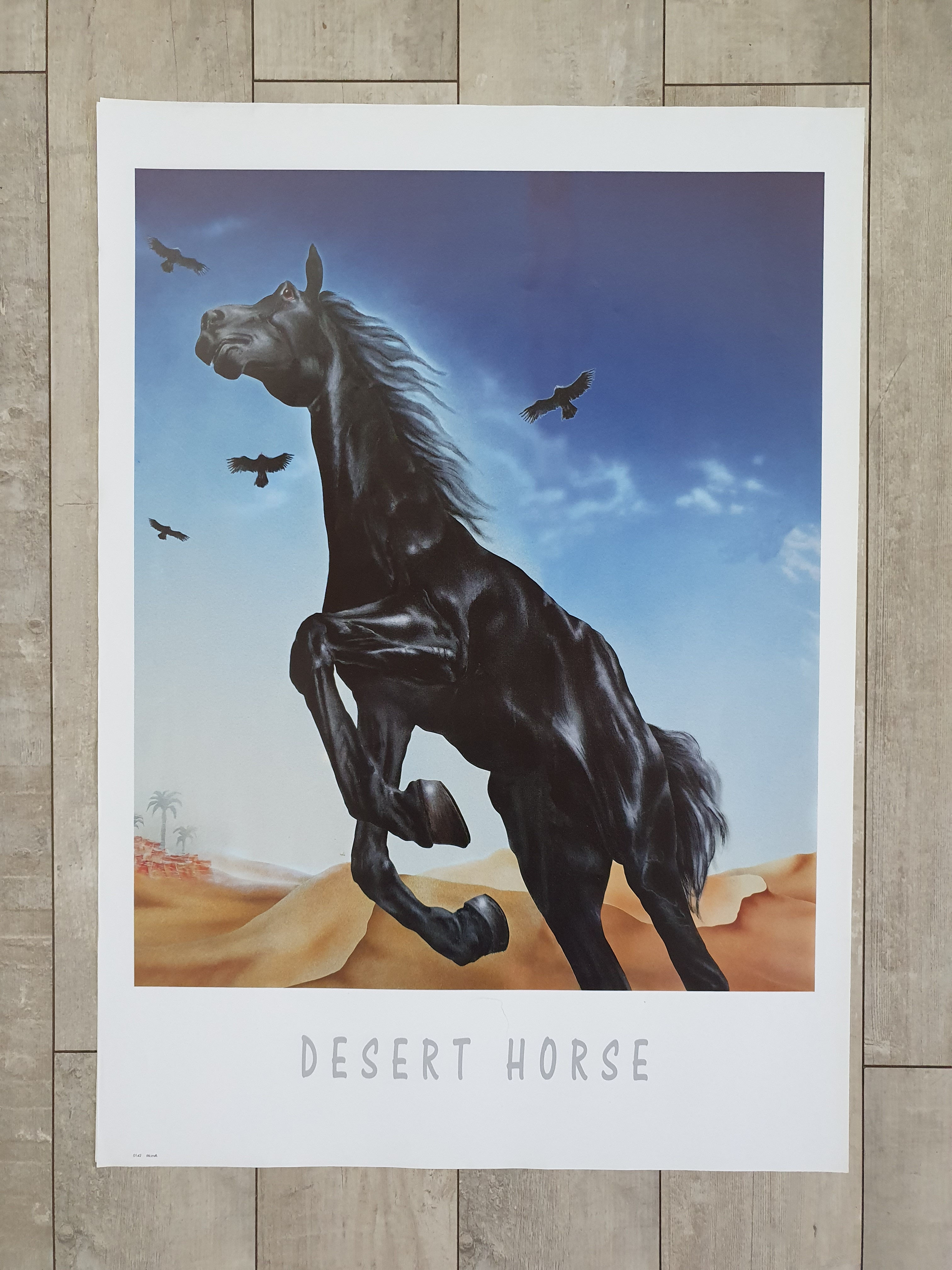Постер ТД Коллекция 50х70 в тубусе DESERT HORSE 142