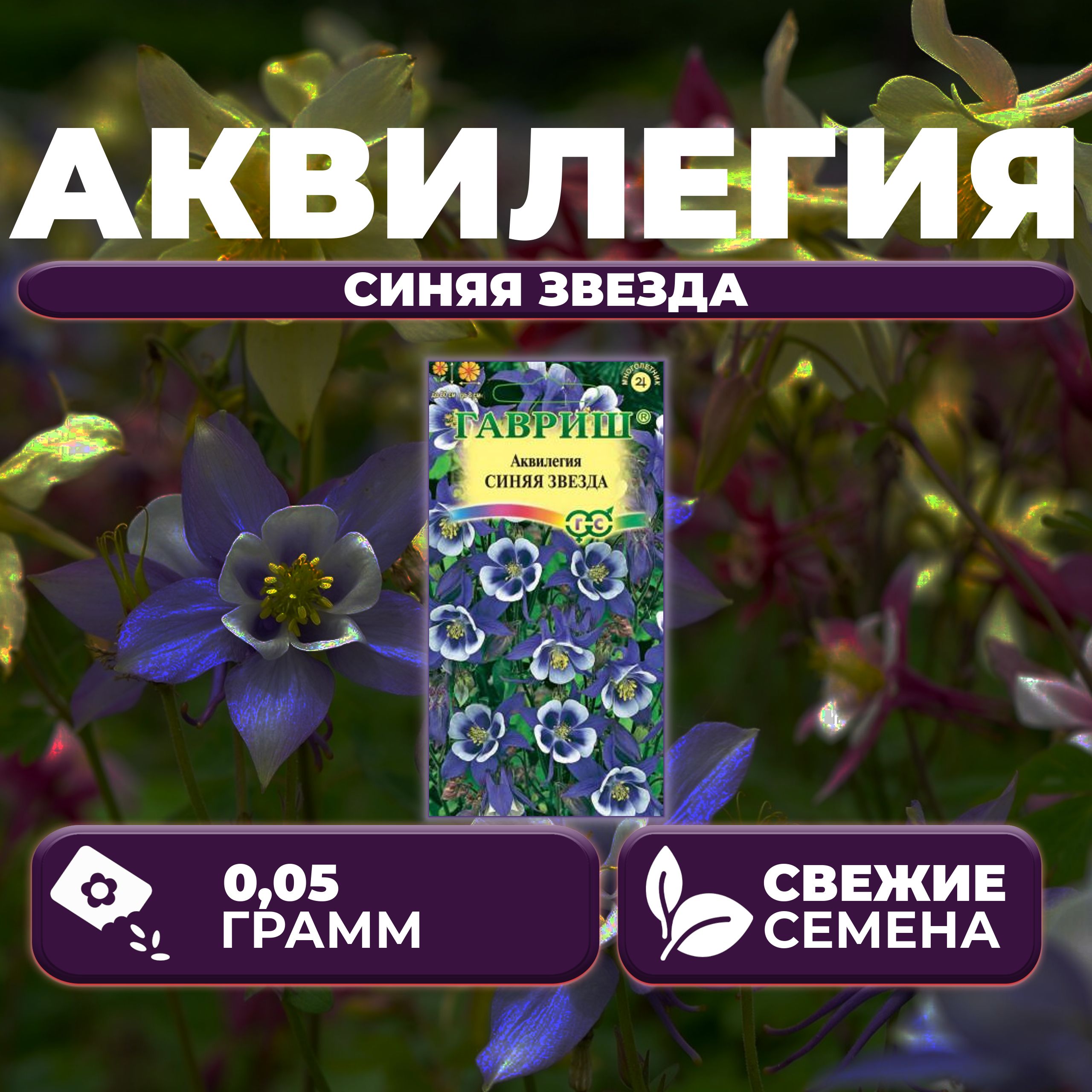 

Семена Аквилегия Синяя Звезда, 0,05г, Гавриш, Цветочная коллекция (1 уп)