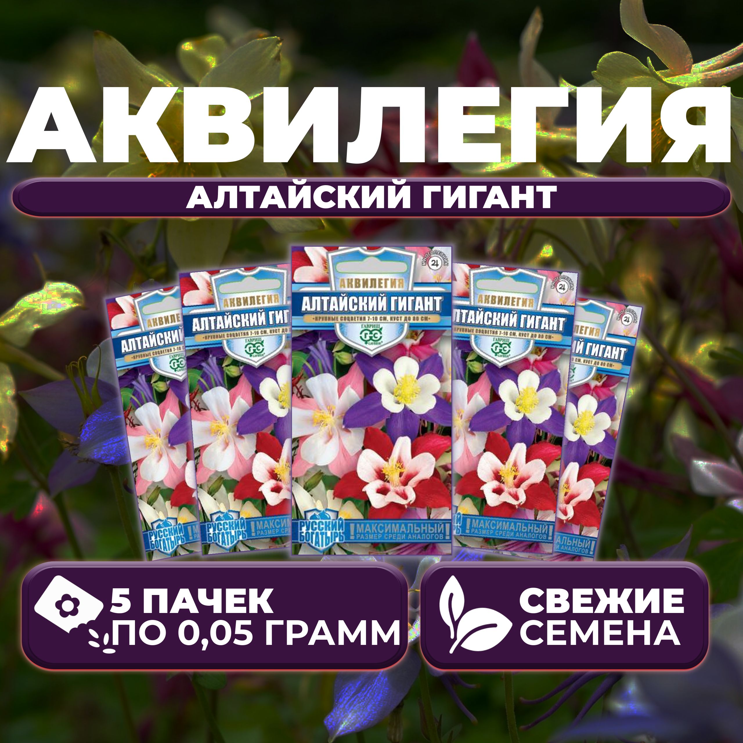 

Семена Аквилегия Алтайский гигант, 0,05г, Гавриш, Русский богатырь (5 уп)