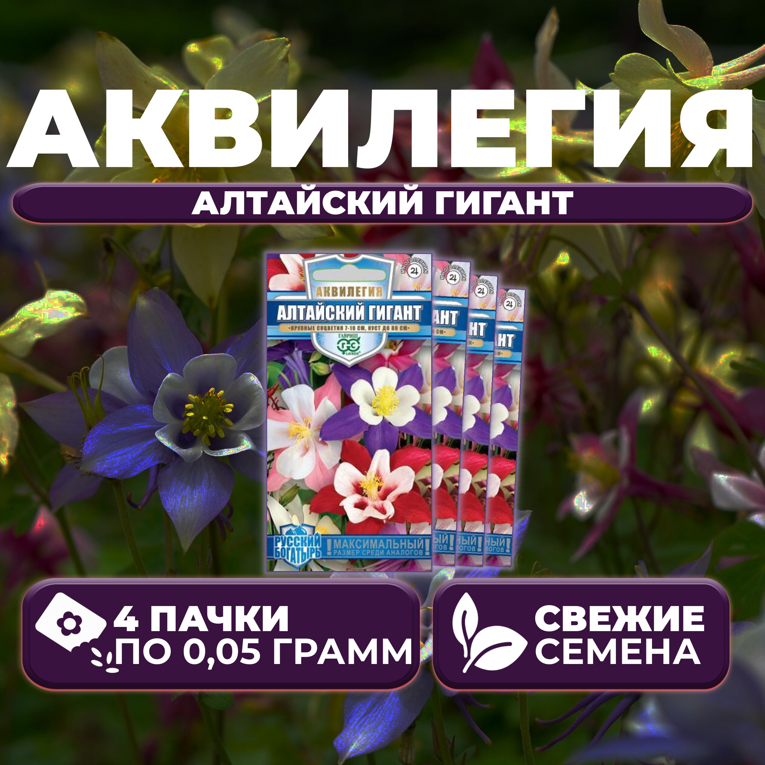 

Семена Аквилегия Алтайский гигант, 0,05г, Гавриш, Русский богатырь (4 уп)