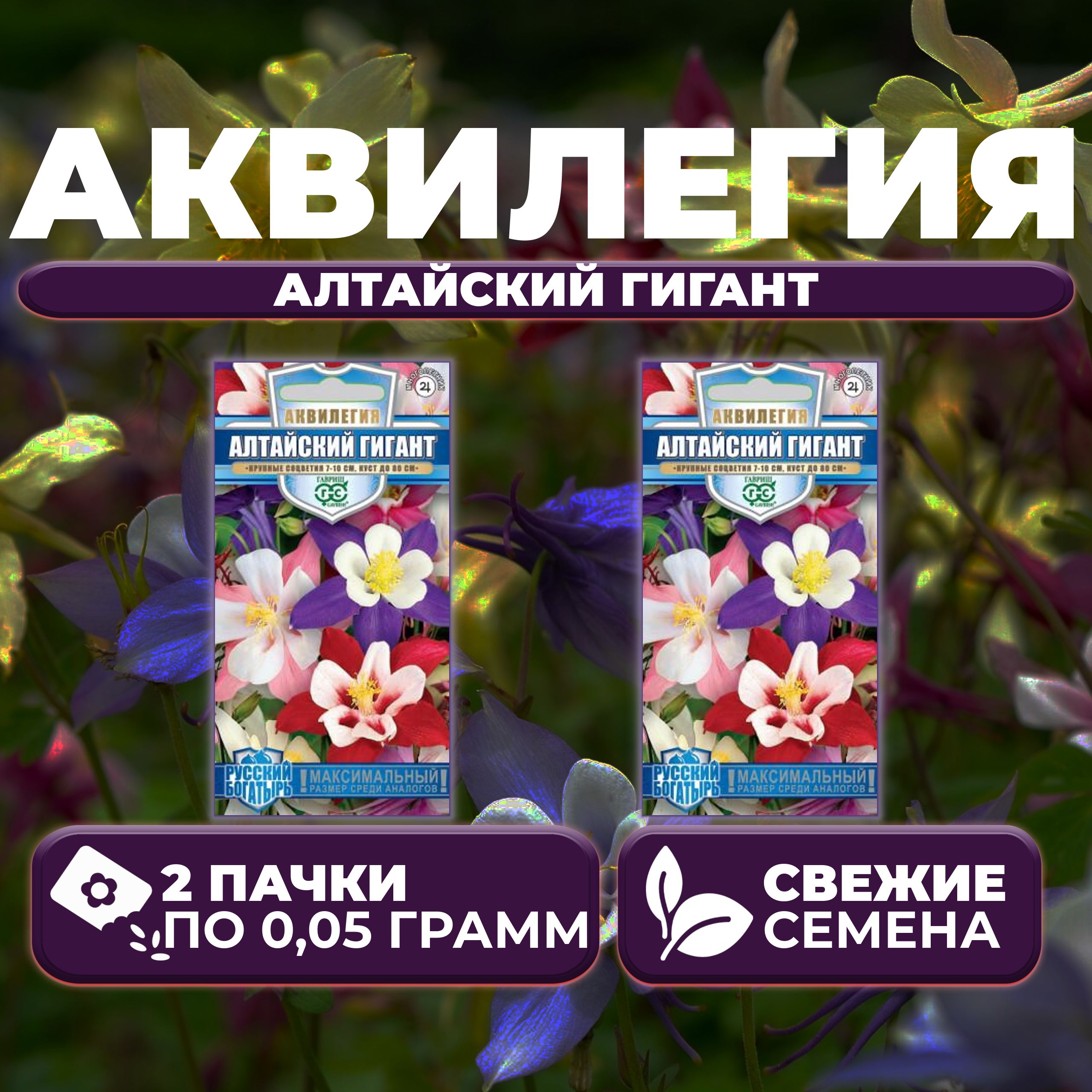 

Семена Аквилегия Алтайский гигант, 0,05г, Гавриш, Русский богатырь (2 уп)