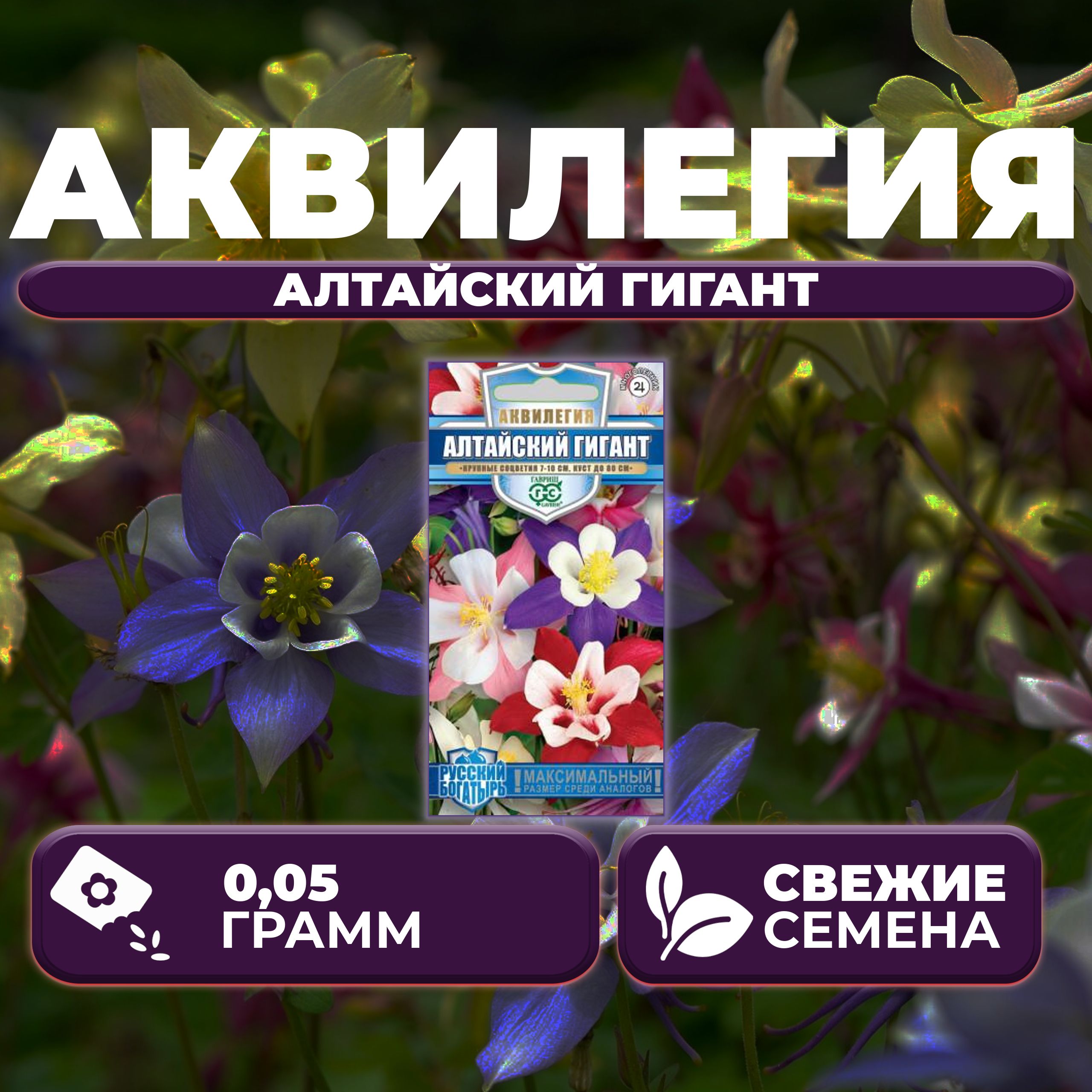 

Семена Аквилегия Алтайский гигант, 0,05г, Гавриш, Русский богатырь (1 уп)