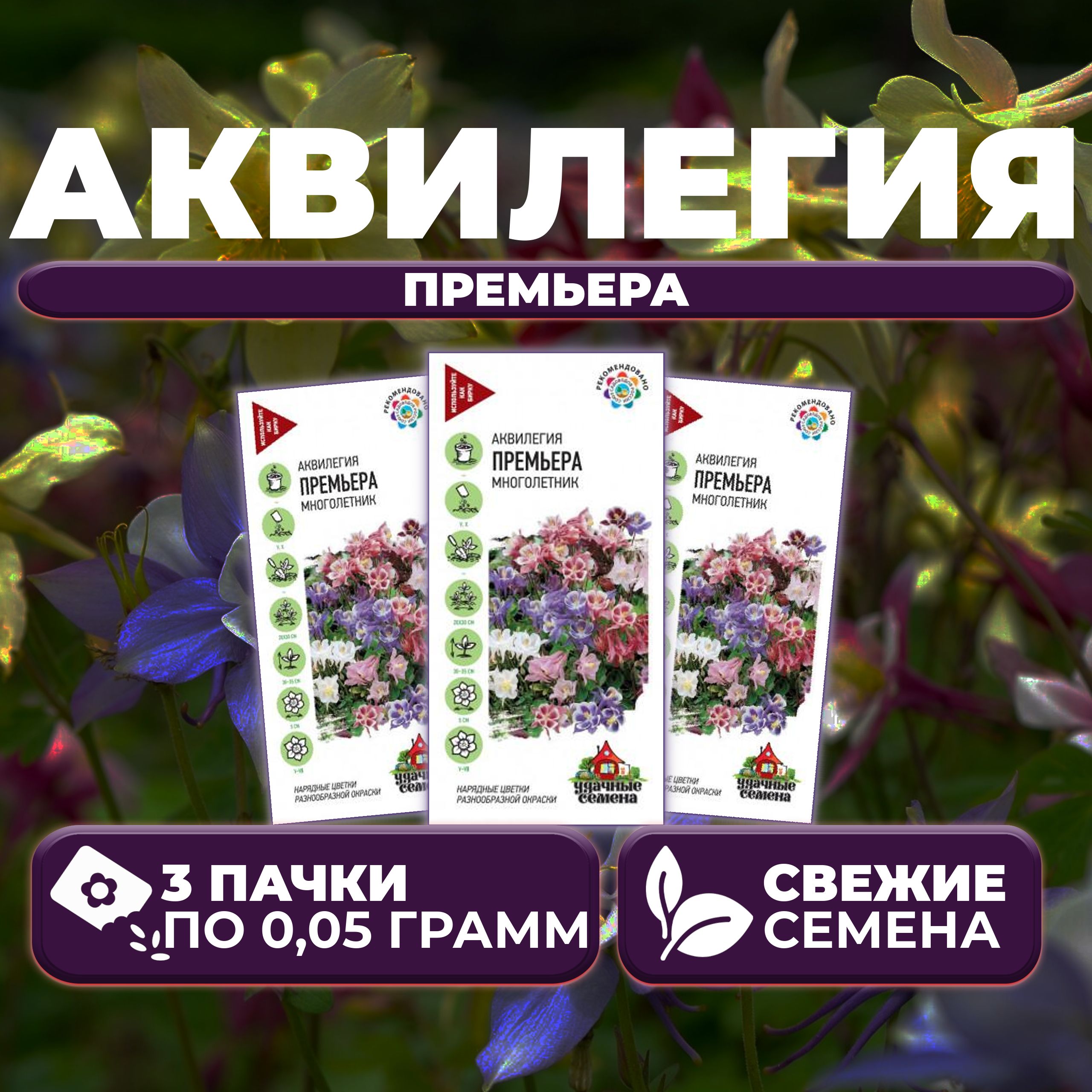 

Семена Аквилегия Премьера, смесь, 0,05г, Удачные семена (3 уп)