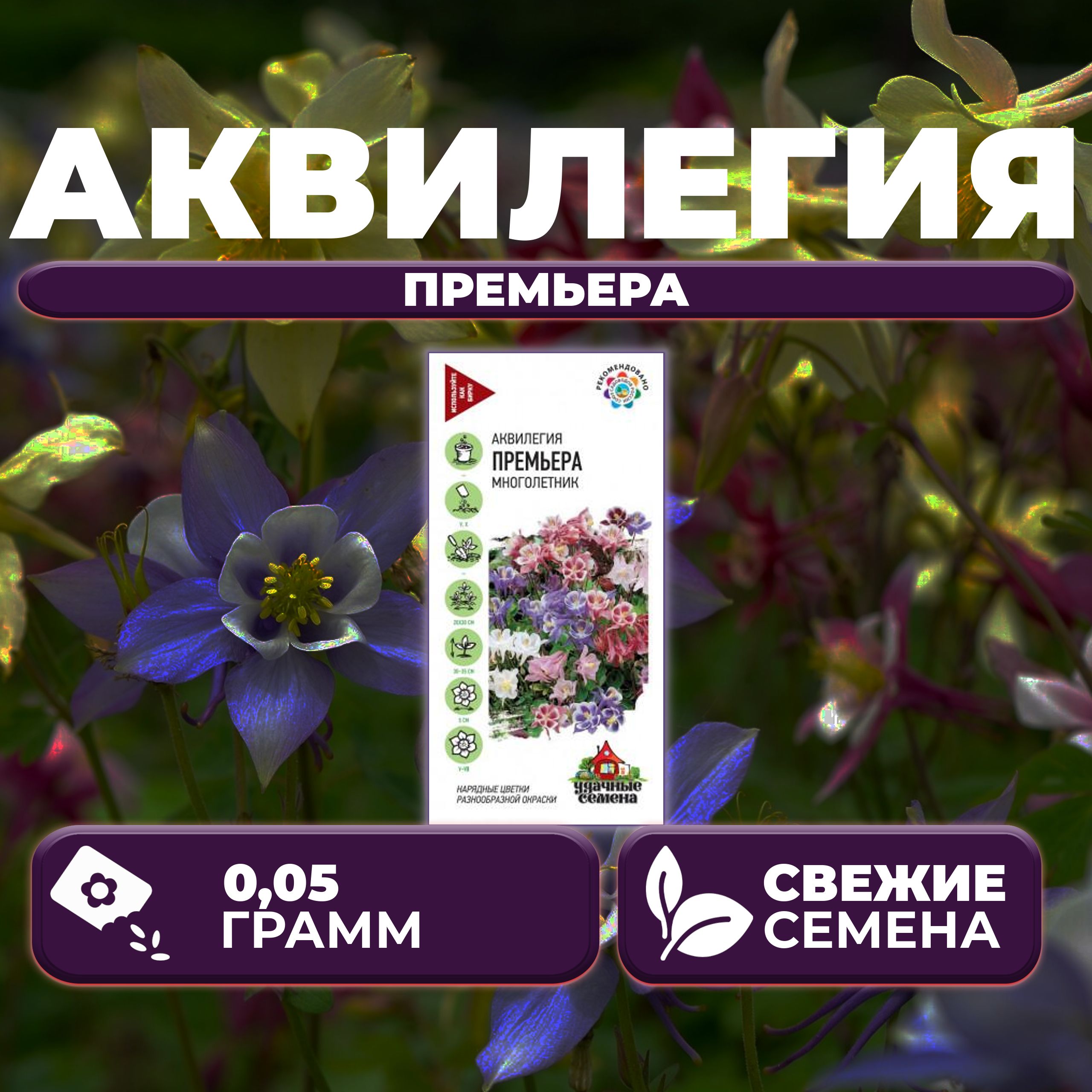 

Семена Аквилегия Премьера, смесь, 0,05г, Удачные семена (1 уп)