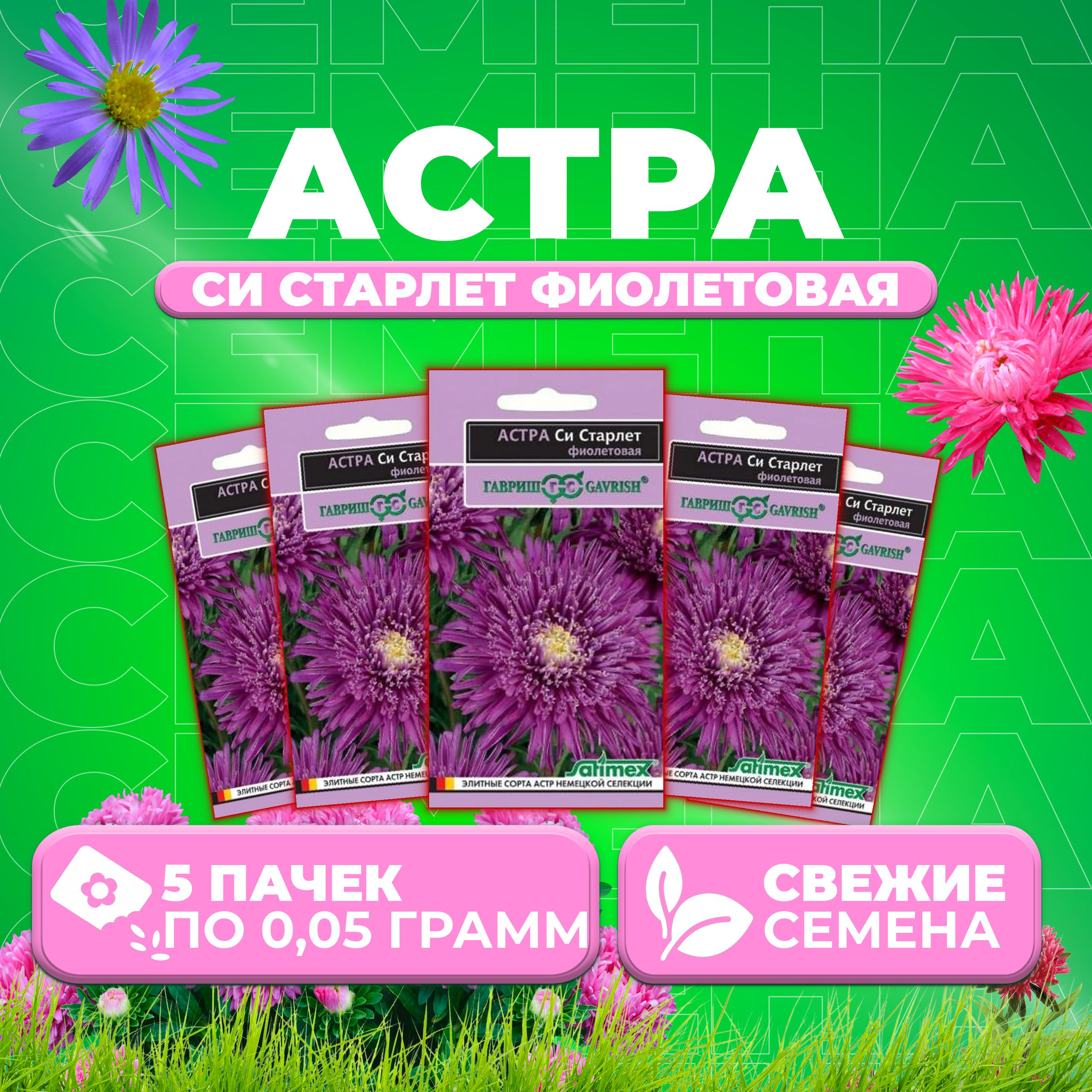 

Семена Астра Си Старлет фиолетовая, 0,05г, Гавриш, Satimex (5 уп)