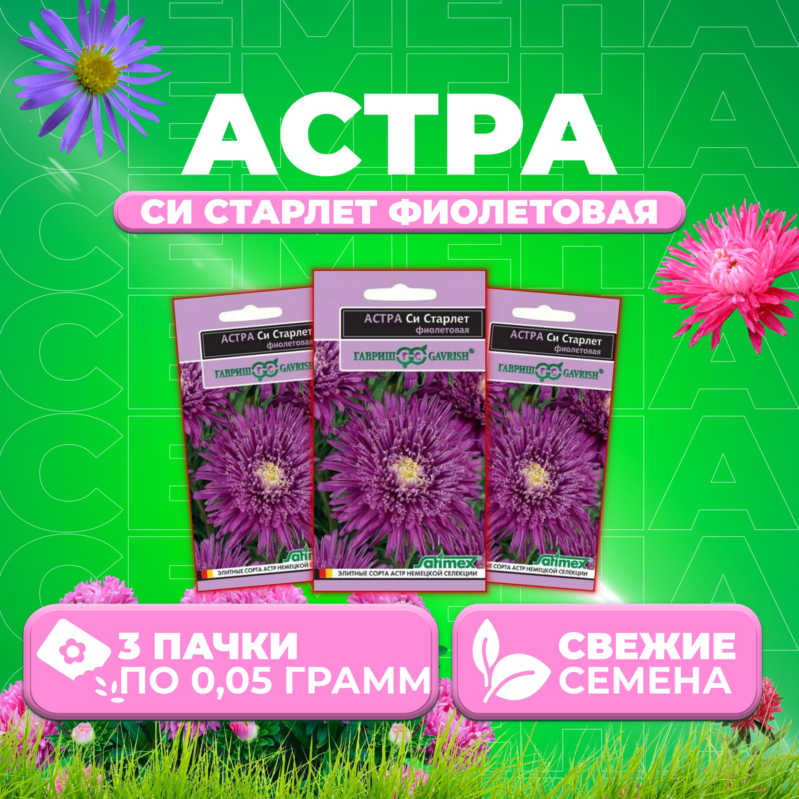 

Семена Астра Си Старлет фиолетовая, 0,05г, Гавриш, Satimex (3 уп)