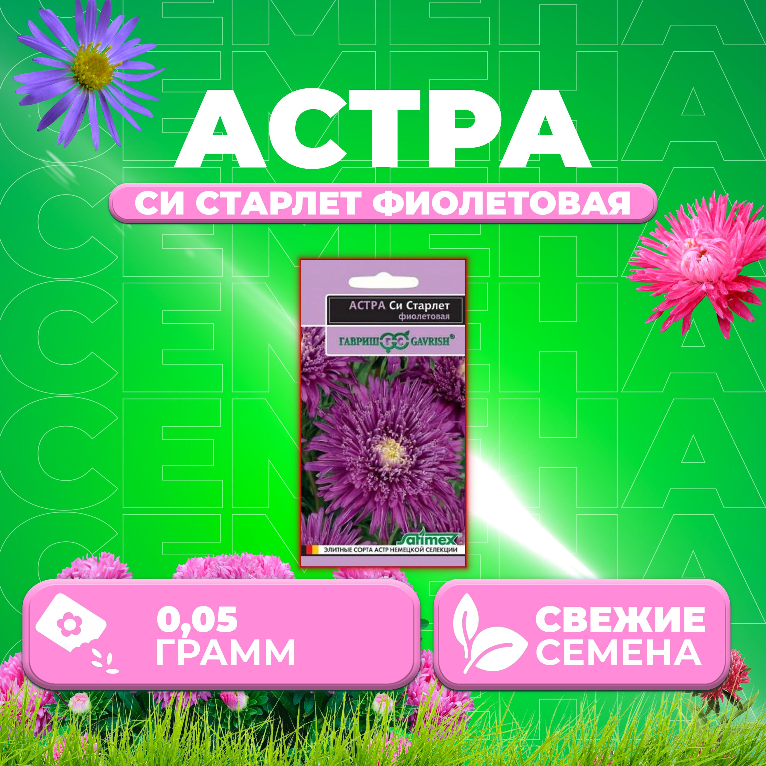 

Семена Астра Си Старлет фиолетовая, 0,05г, Гавриш, Satimex (1 уп)