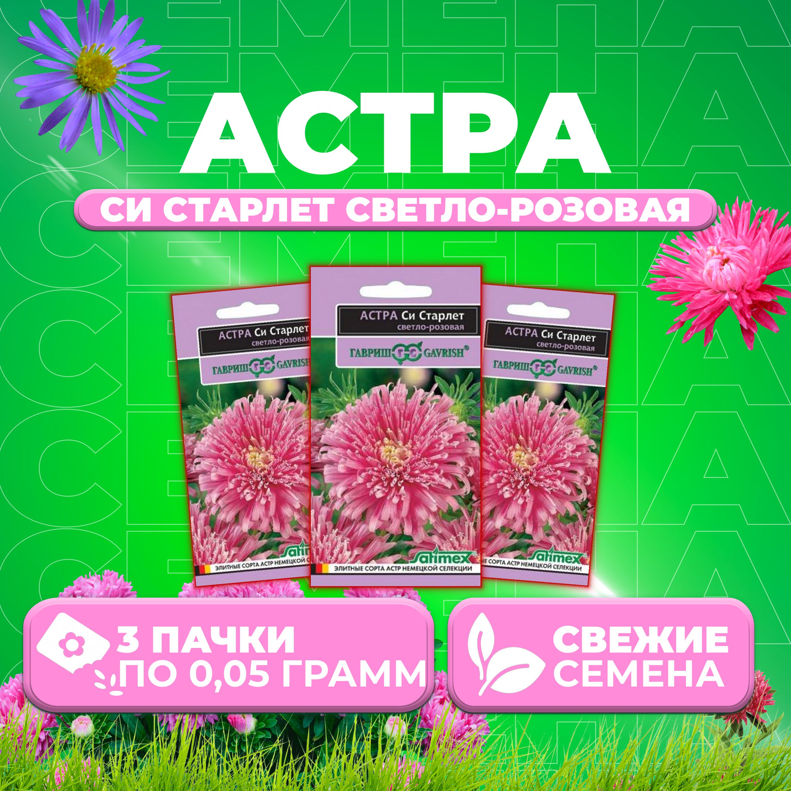 

Семена Астра Си Старлет светло-розовая, 0,05г, Гавриш, Satimex (3 уп)