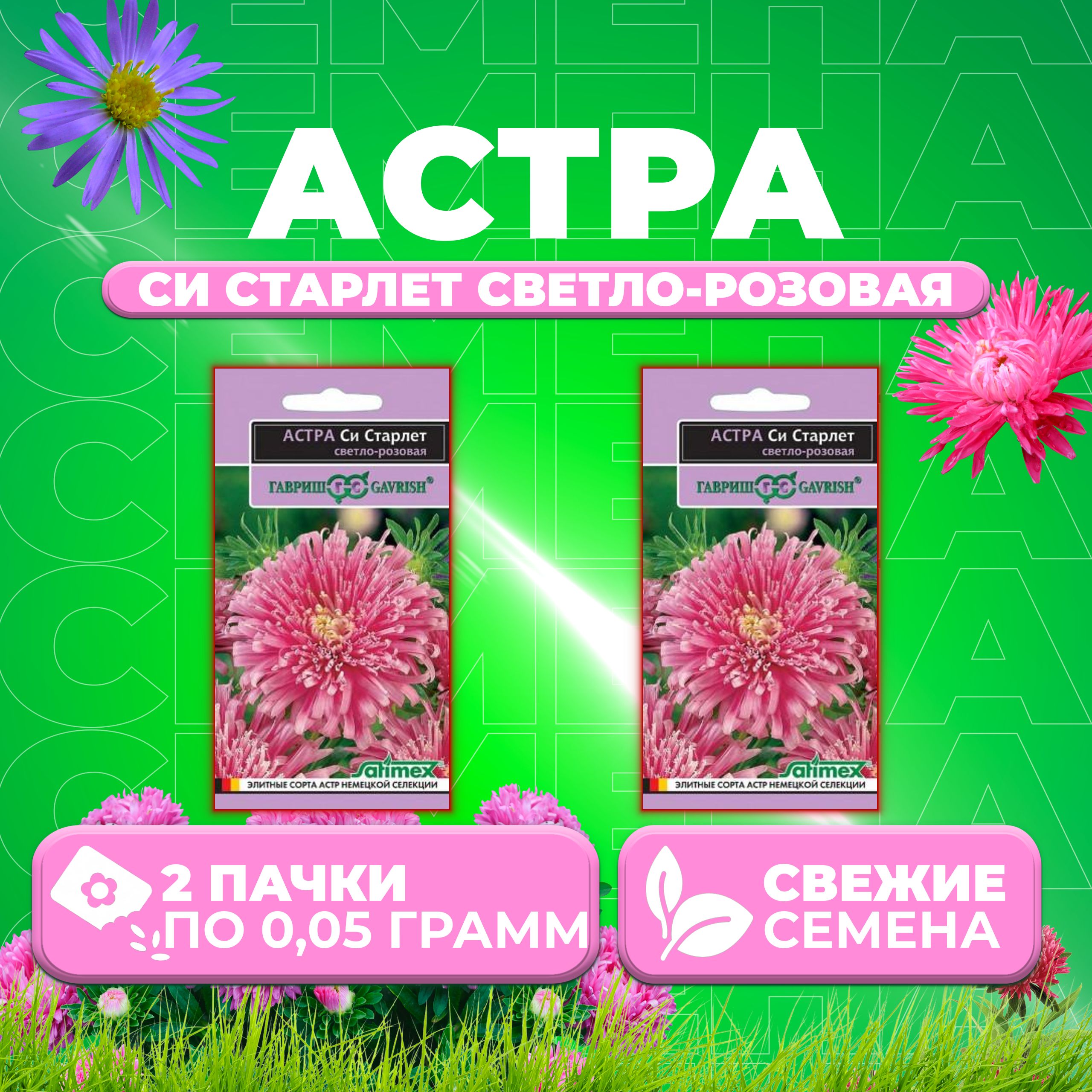 

Семена Астра Си Старлет светло-розовая, 0,05г, Гавриш, Satimex (2 уп)