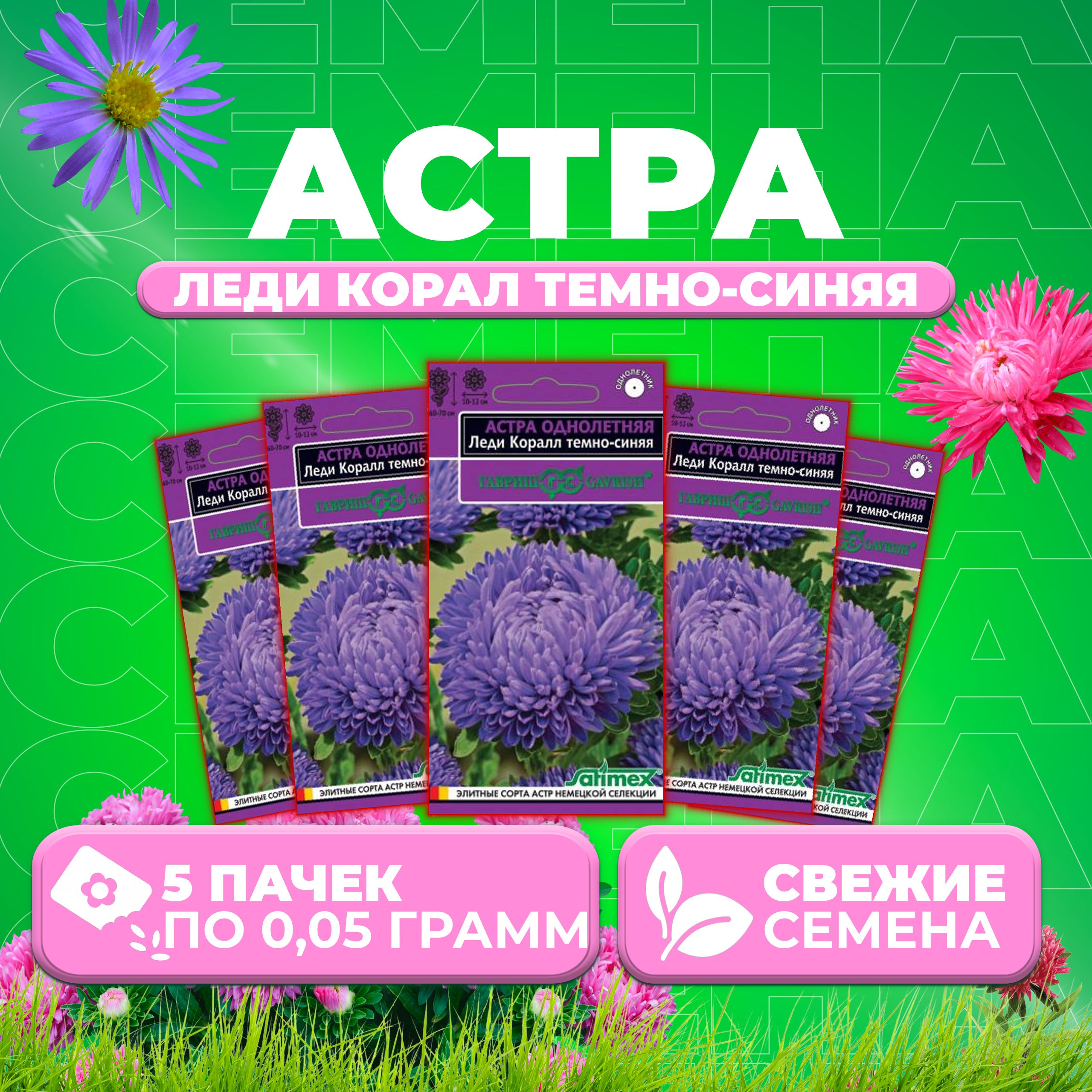 

Семена Астра Леди Корал темно-синяя, розовидная, 0,05г, Гавриш, Satimex (5 уп)